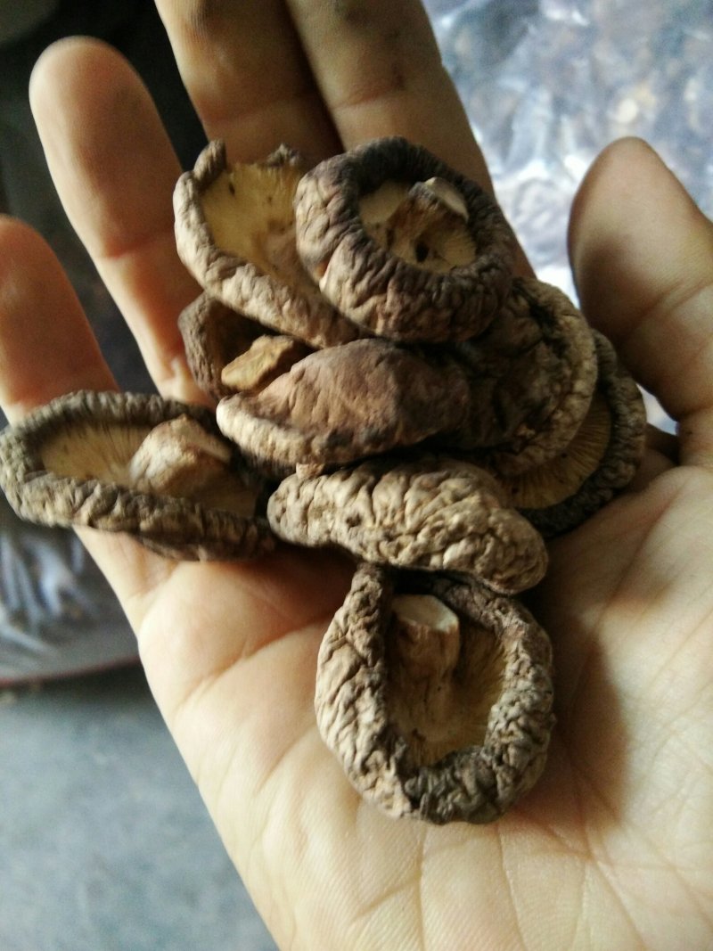 河南内乡山城小镇干香菇，菇乡菇香，产区直供，放心购。