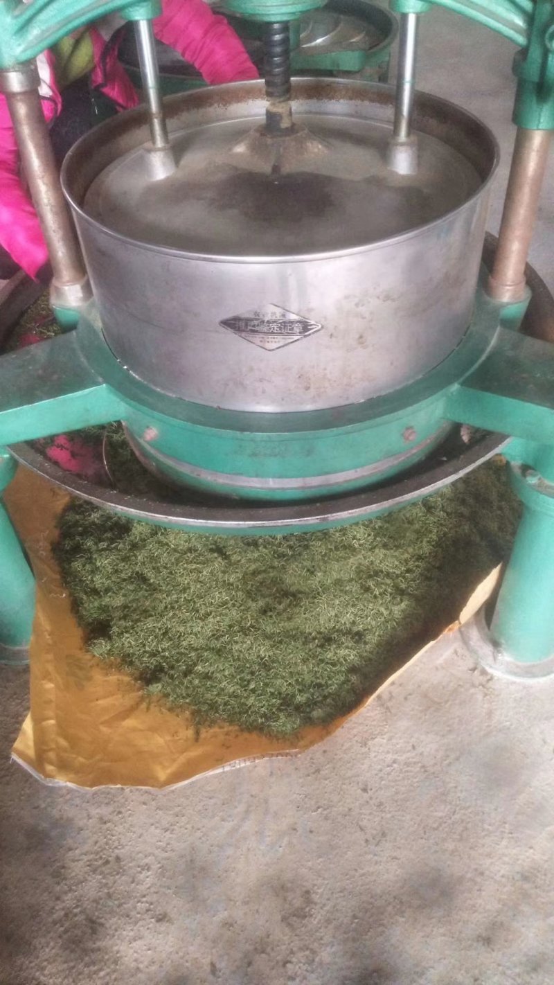都匀毛尖，贵州原生态绿茶(原产地，一手货源，栗香味)