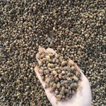 生物菌发酵大豆厂价直供