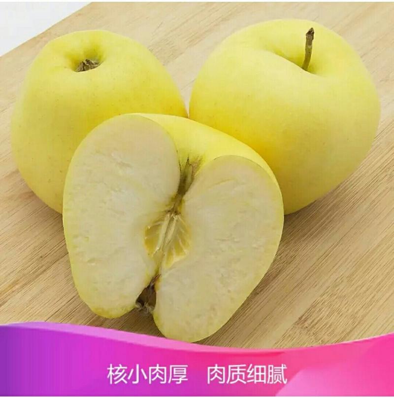 【大连瓦房店黄元帅黄香蕉苹果】产地直供