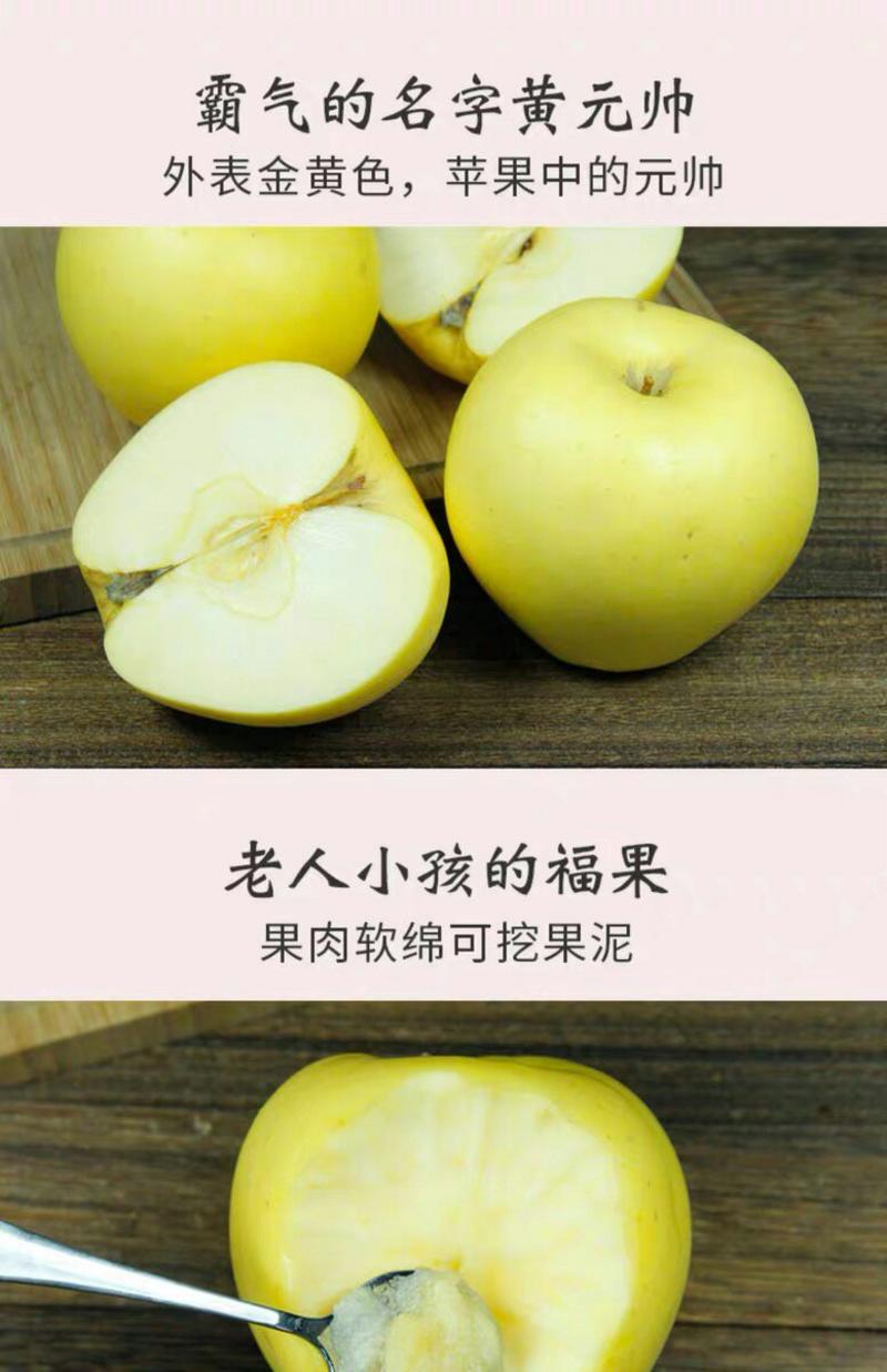 【大连瓦房店黄元帅黄香蕉苹果】产地直供