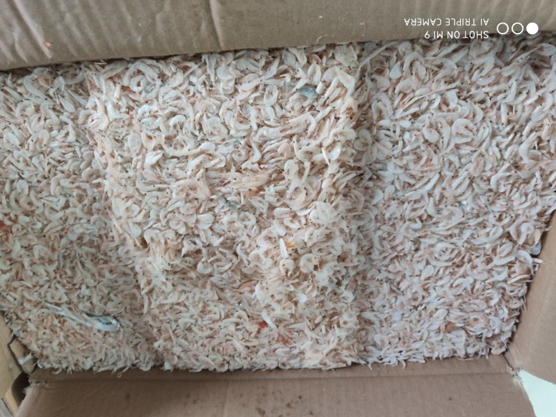 苏老大海产品批发虾皮各规格定制产品500克虾皮