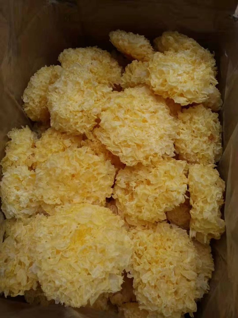 银耳干银耳，古田银耳，银耳，产地直销，欢迎选购。