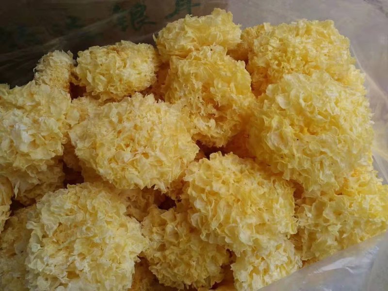 银耳干银耳，古田银耳，银耳，产地直销，欢迎选购。