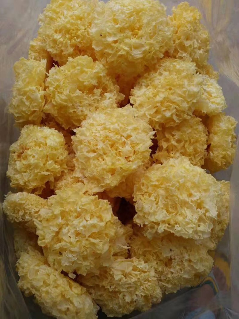 银耳干银耳，古田银耳，银耳，产地直销，欢迎选购。