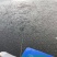 淡水石斑鱼苗基地直发抗病毒强包成活可视频看货