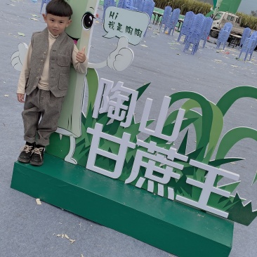 正中陶山甘蔗上市啦