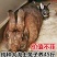 兔子活体大型肉兔德国巨兔大流士兔可长45斤