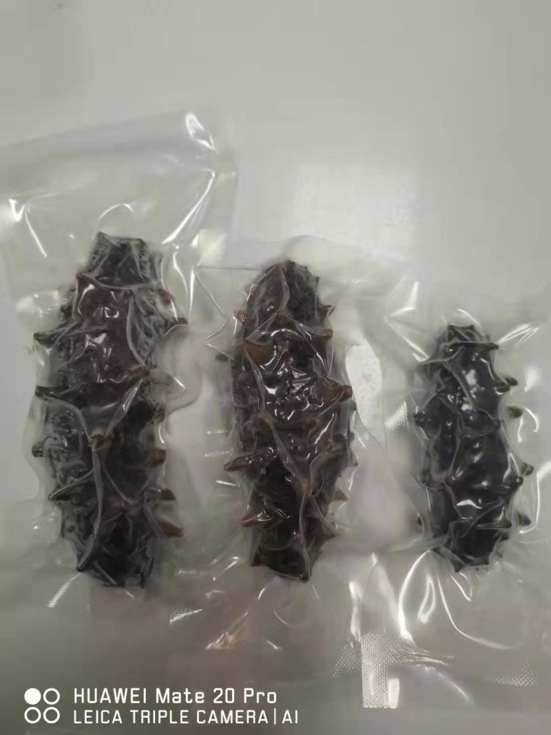 辽宁东港深海真空即食海参