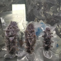 辽宁东港深海真空即食海参