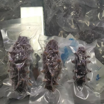 辽宁东港深海真空即食海参