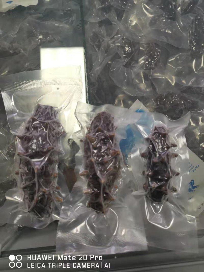 辽宁东港深海真空即食海参