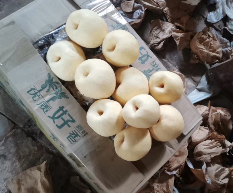 蒲城酥梨陕西渭南蒲城县酥梨之乡品质优良