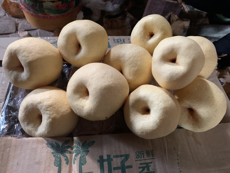 蒲城酥梨陕西渭南蒲城县酥梨之乡品质优良