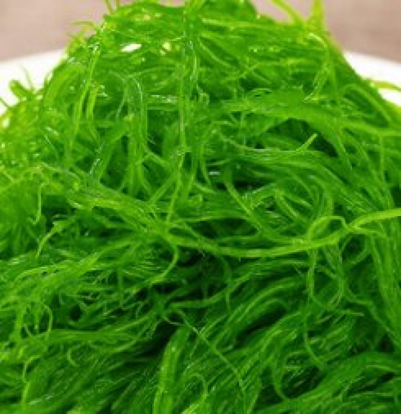 海菜