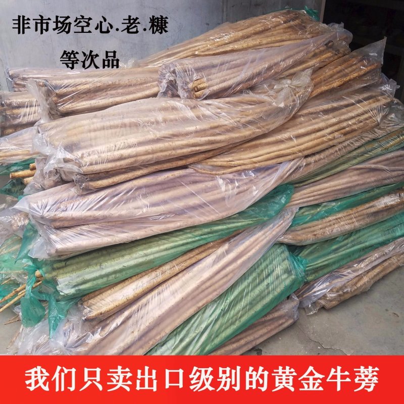 2022鲜牛蒡5斤包邮农家牛蒡鲜牛膀根包邮大粗下饭营养菜