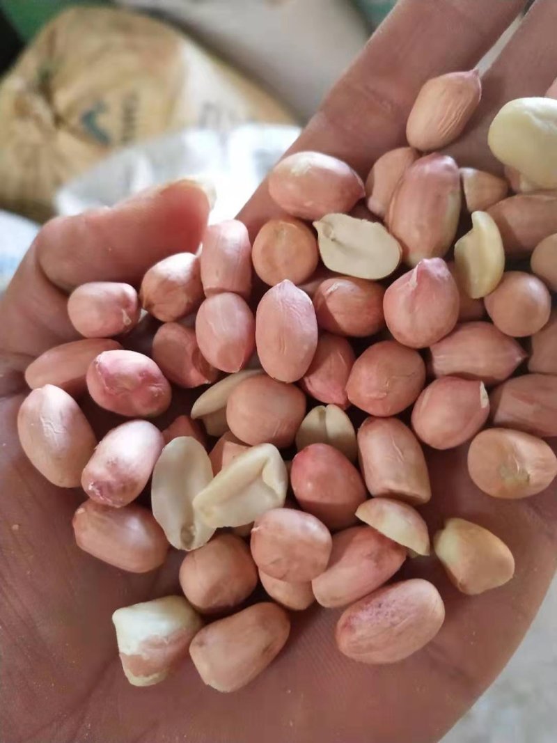 花生米，罗汉果