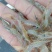 河虾