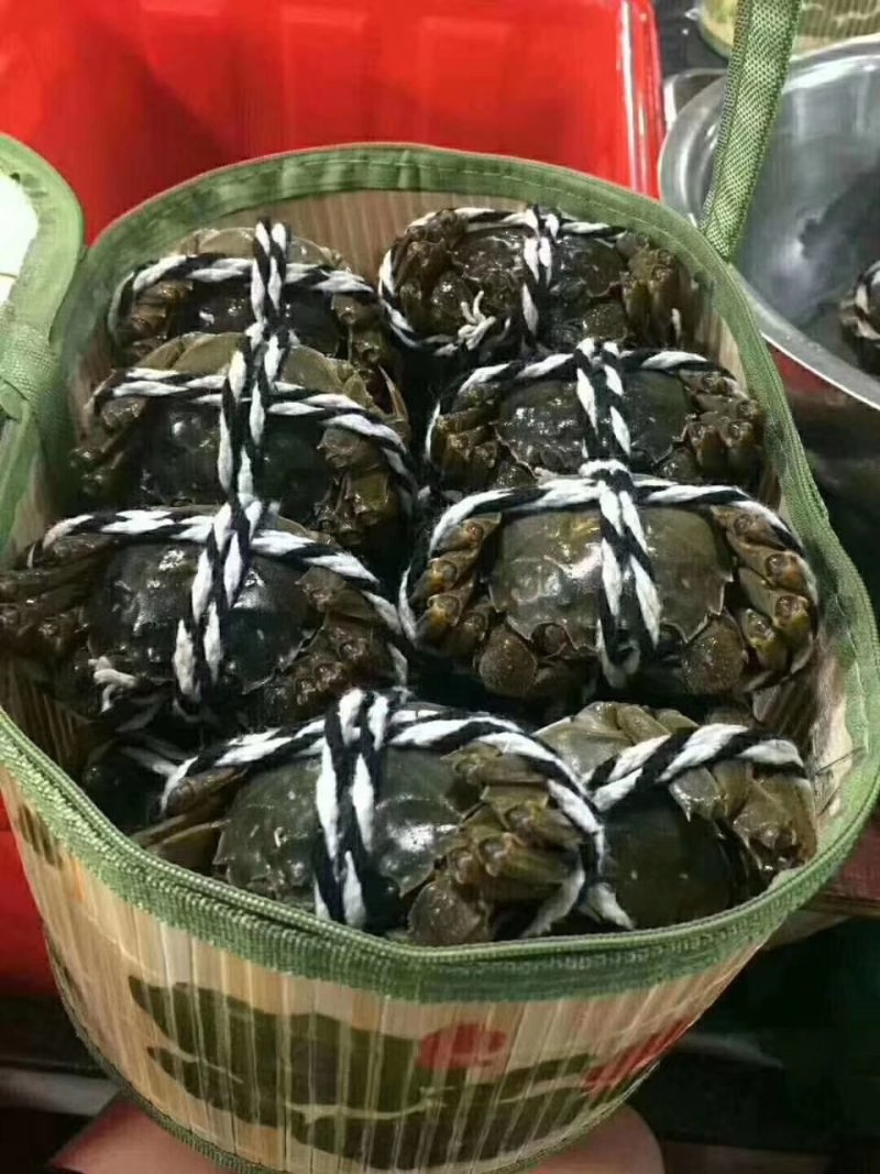 梁子湖大闸蟹
