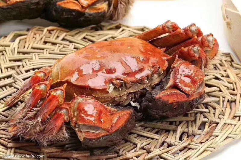 梁子湖大闸蟹
