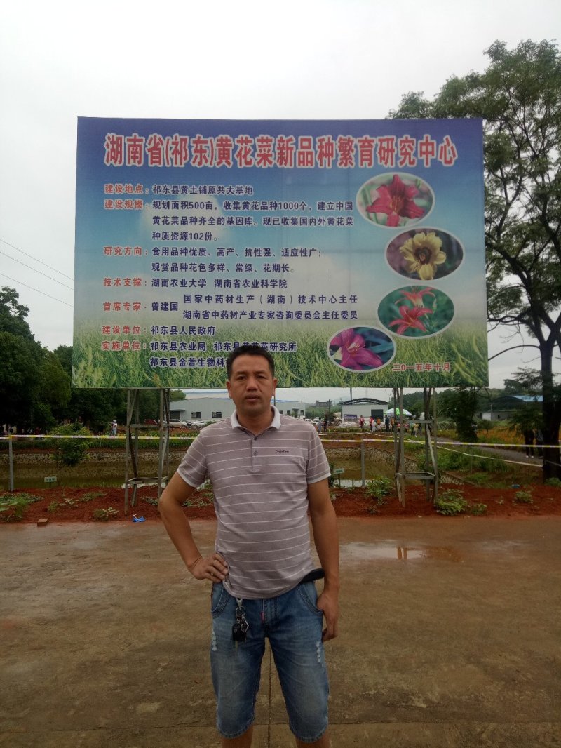 【HOT】黄花菜种苗，基地现挖现卖，后期提供管理技术支持