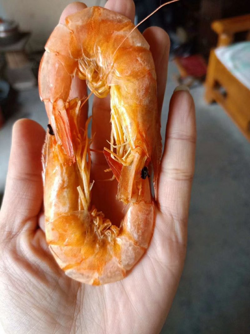 大对虾
