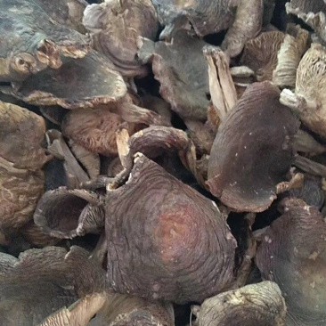 梨菇香菇