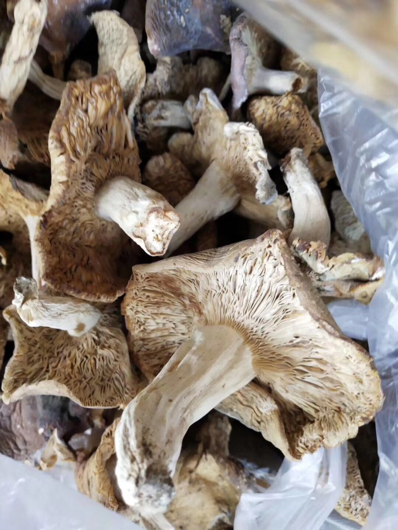 梨菇香菇