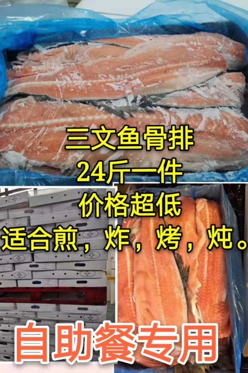 三文鱼鱼骨