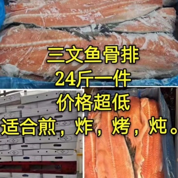 三文鱼鱼骨