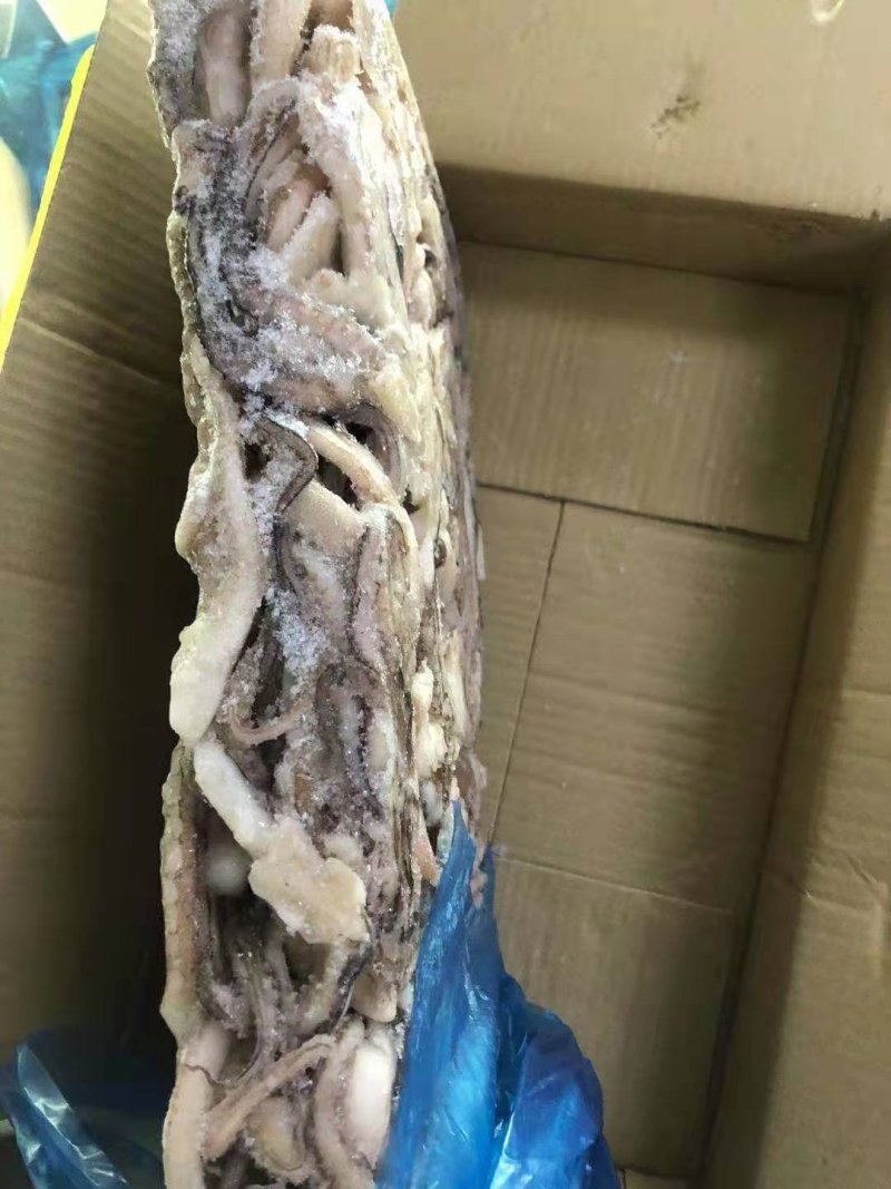 鱿鱼须