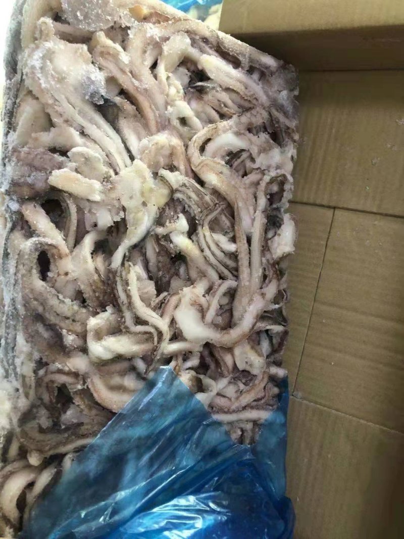 鱿鱼须