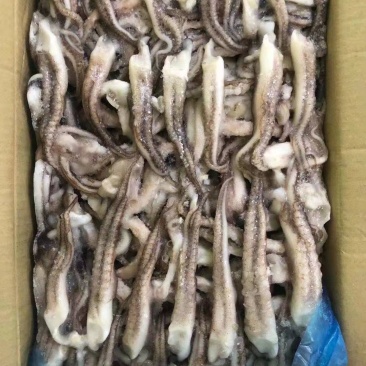 鱿鱼须