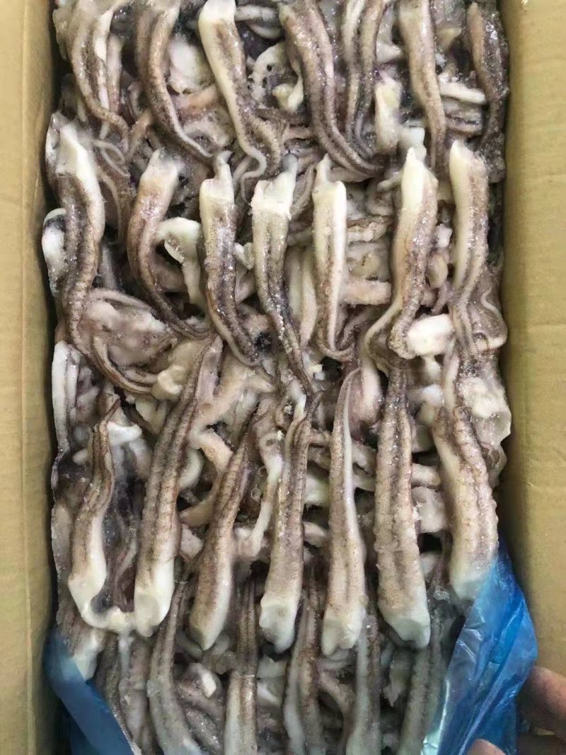 鱿鱼须