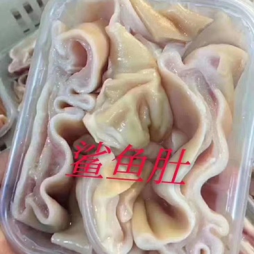 鲨鱼肚
