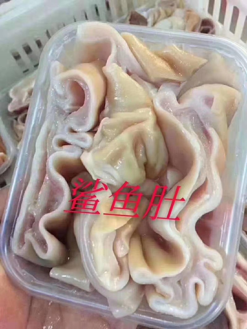 鲨鱼肚