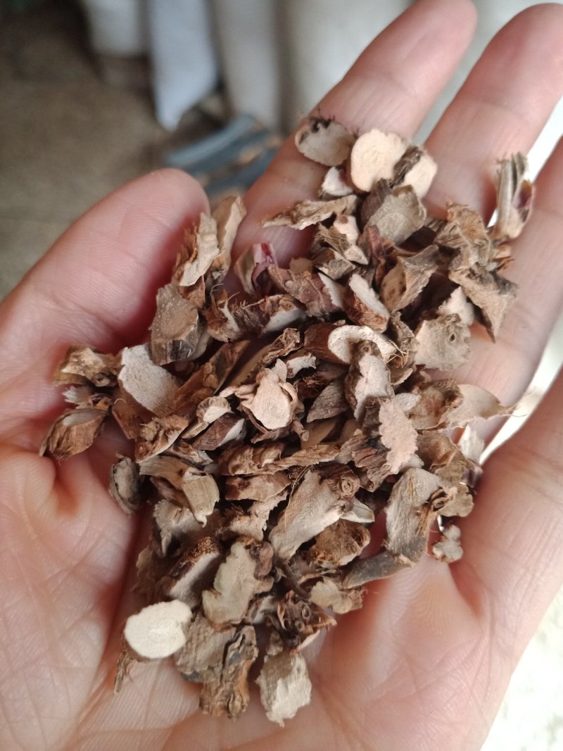 石菖蒲湖北各种规格中药材批发零售石菖蒲中药材