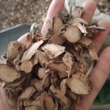 水菖蒲大片小片都有各种中药材批发批发零售各种规格