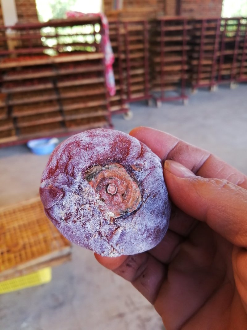 大肉饼次饼爆口饼烂饼流糖饼桂林柿饼