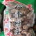 原木香菇，食用菌干货，量大价格优惠