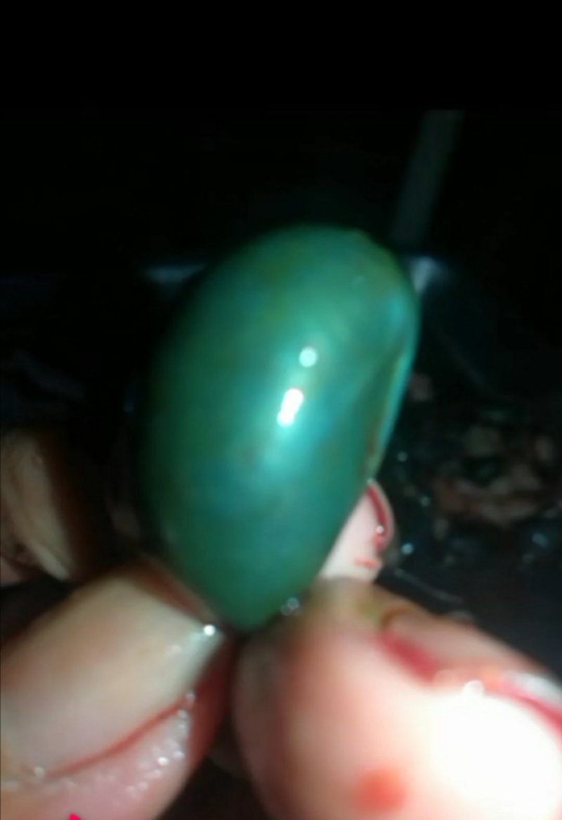 养殖场直销鲜蛇胆眼镜蛇胆