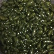 养殖场直销鲜蛇胆眼镜蛇胆