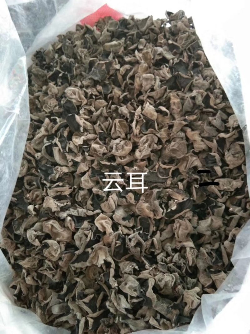 云耳，量大价格优惠