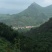 山场转让