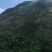 山场转让