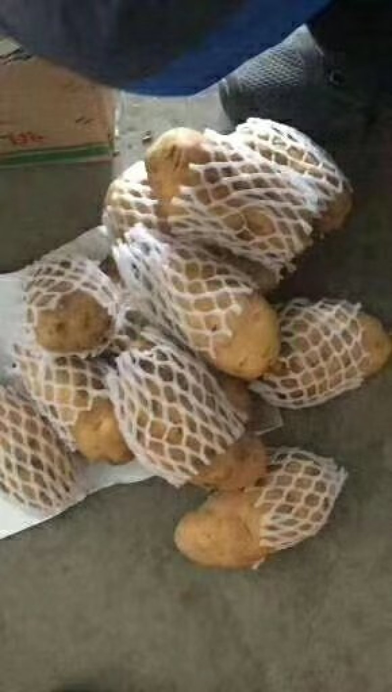 荷兰十五土豆批发价格山东土豆价格平度土豆价格