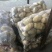 荷兰十五土豆批发价格山东土豆价格平度土豆价格