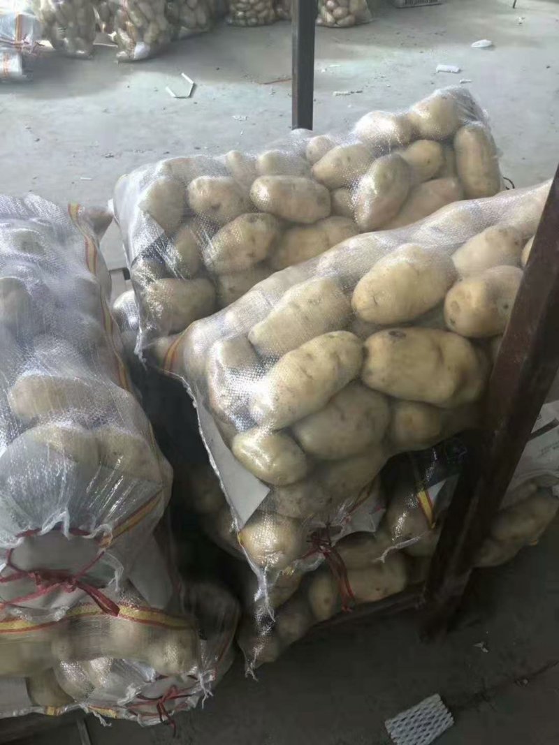 荷兰十五土豆批发价格山东土豆价格平度土豆价格