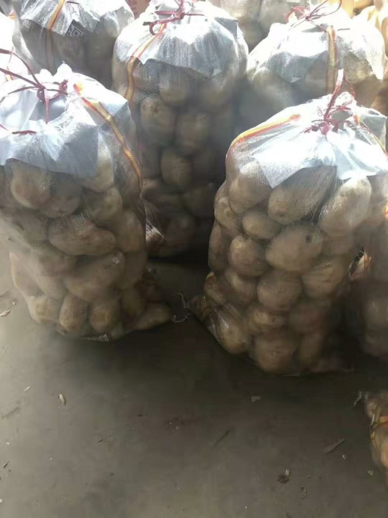 荷兰十五土豆批发价格山东土豆价格平度土豆价格