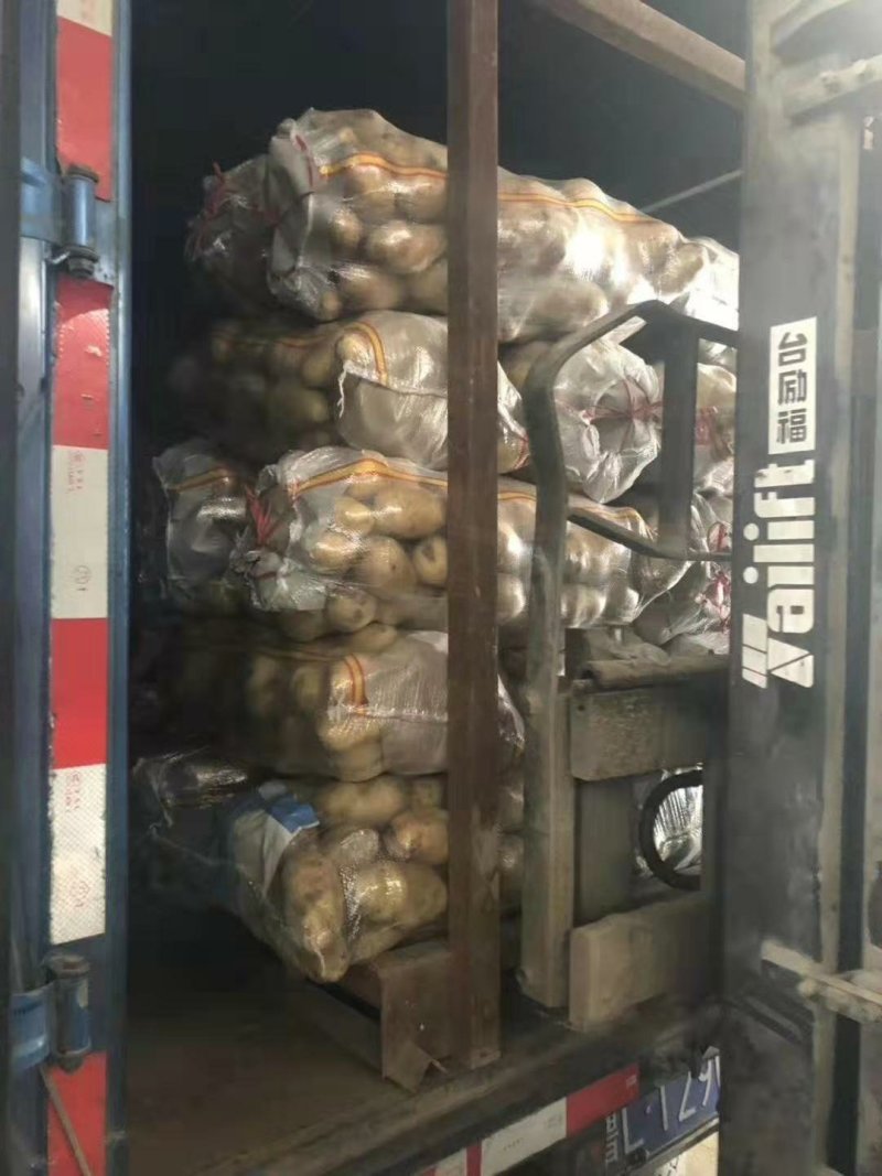 荷兰十五土豆批发价格山东土豆价格平度土豆价格